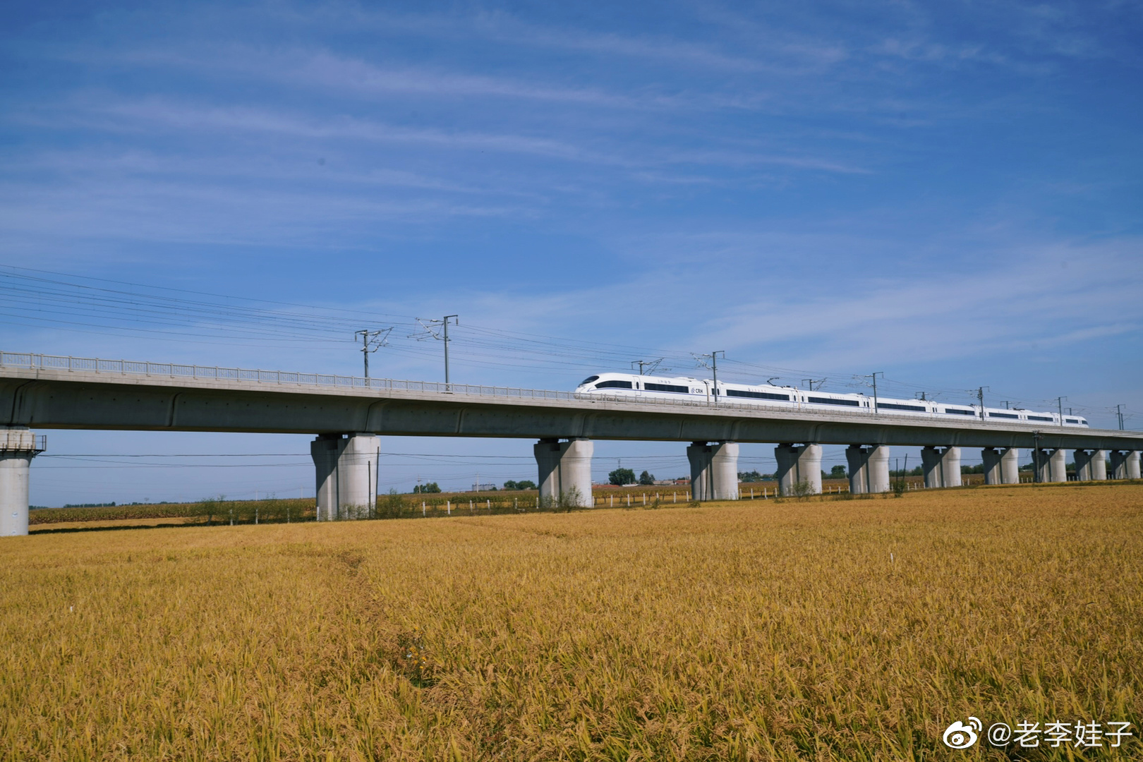 高铁飞驰织密网 产业链公司驶入业绩收获期