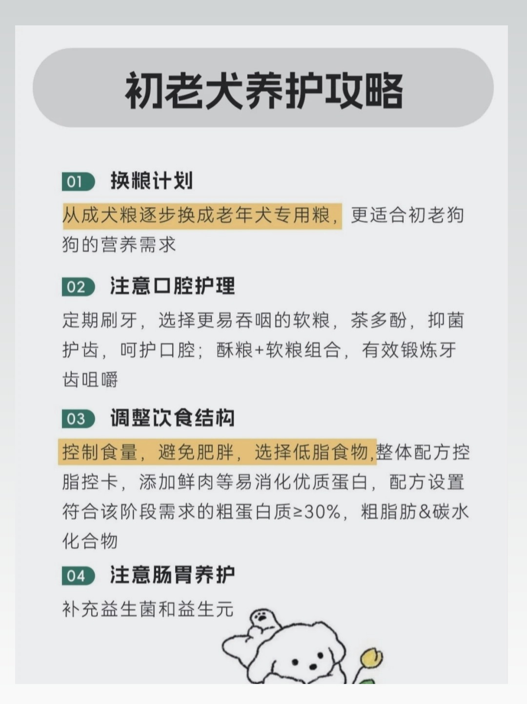 “擦八只脚”养狗梗走红网络，现存宠物相关企业超532万家