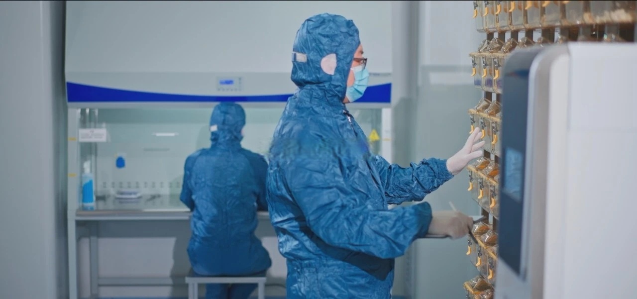 以机制创新加速培育全国一体化数据市场