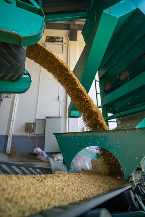 全国秋粮收购2亿吨 市场购销两旺