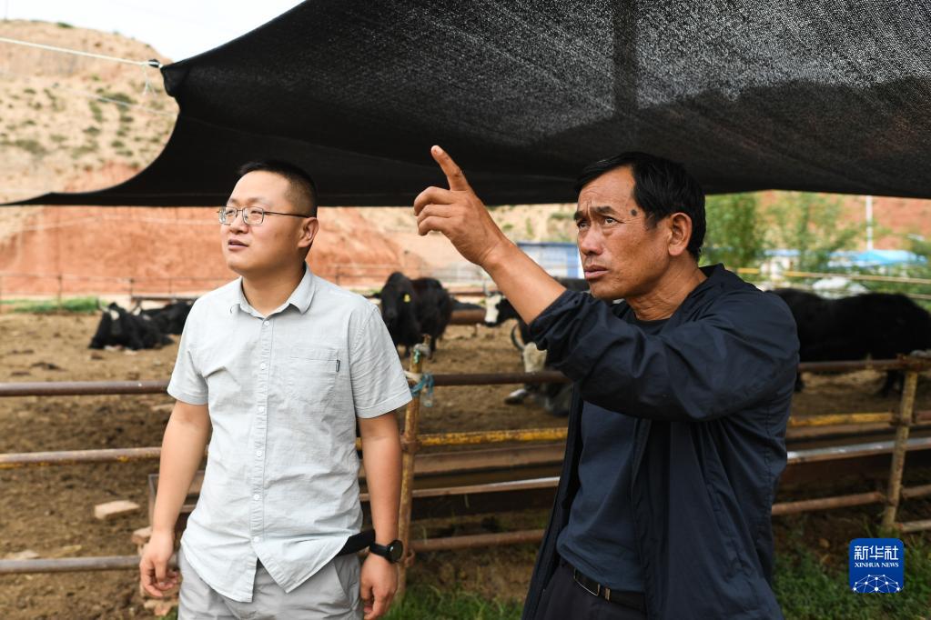 新春走基层丨悬崖上的“金灯”