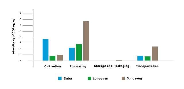 我国力争到2030年茶全产业链规模达1.5万亿元