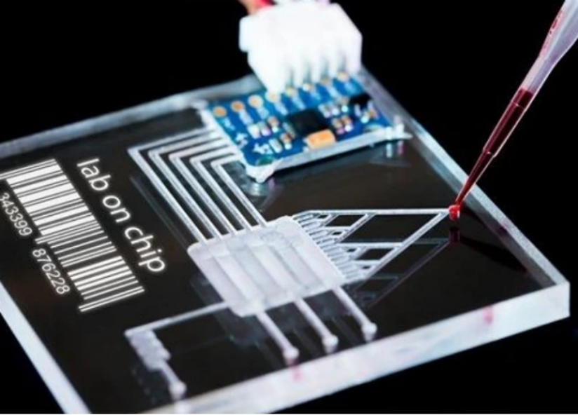 量子生物探测关键难题攻克