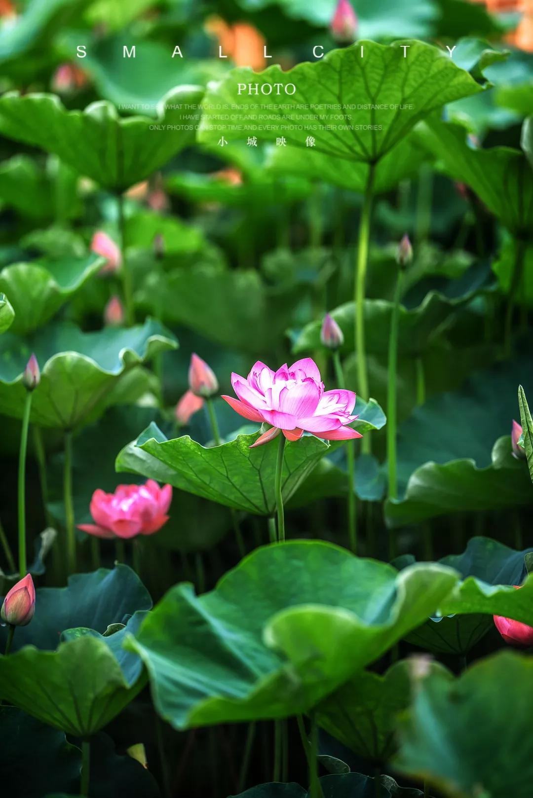 两会特稿丨“让绿色发展真正惠及世界每个地方”——中国携手世界共绘可持续发展新蓝图