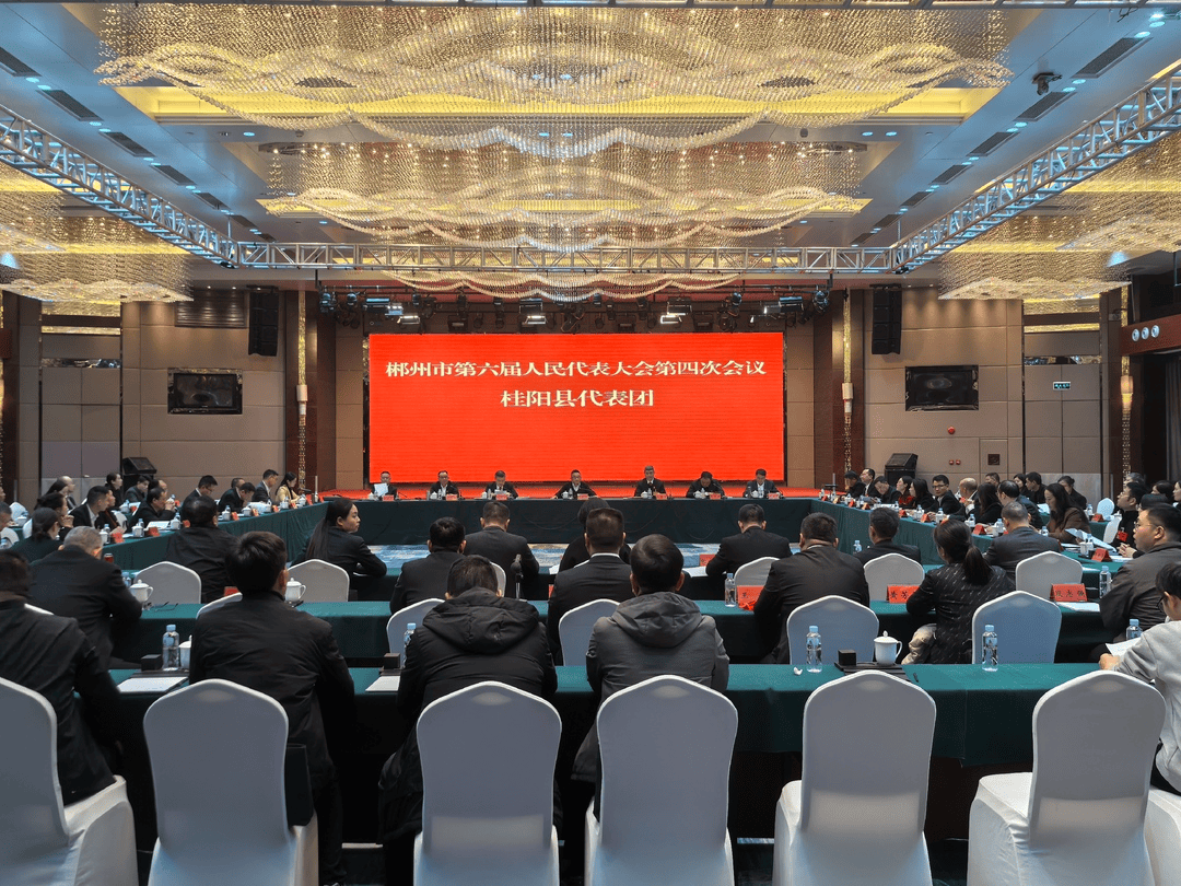 两会综合报道丨坚定信心启新程 乘势而上建新功——代表委员审议讨论政府工作报告