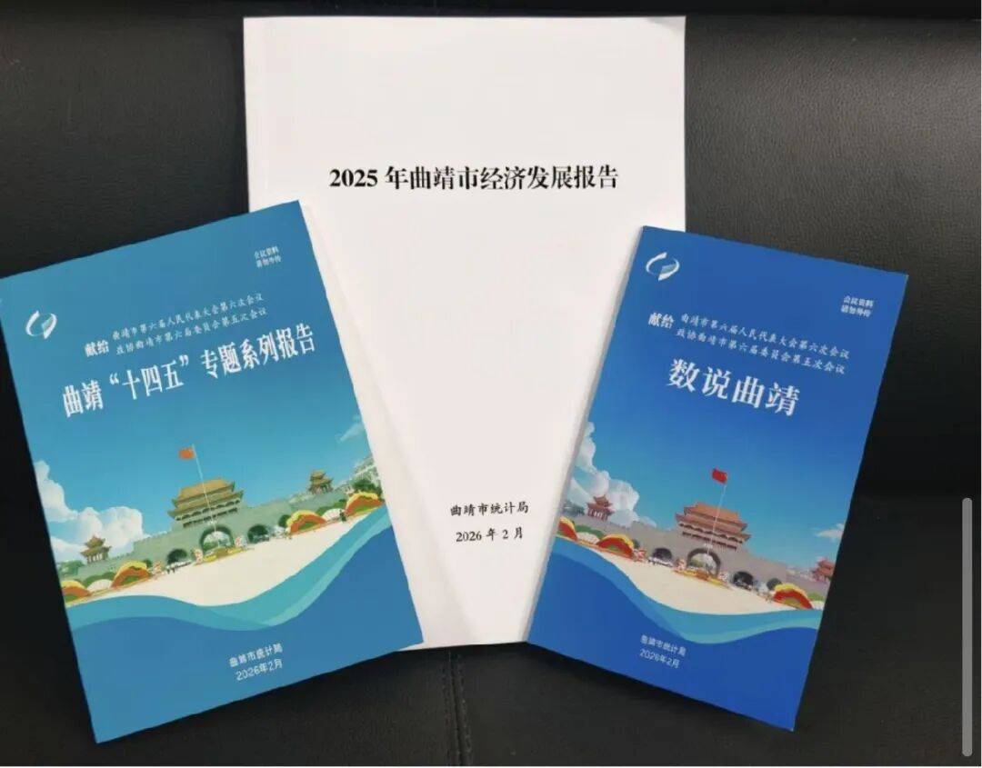 新华社旗下四大媒体看两会｜稳经济、防风险 央行“双支柱”护航高质量发展