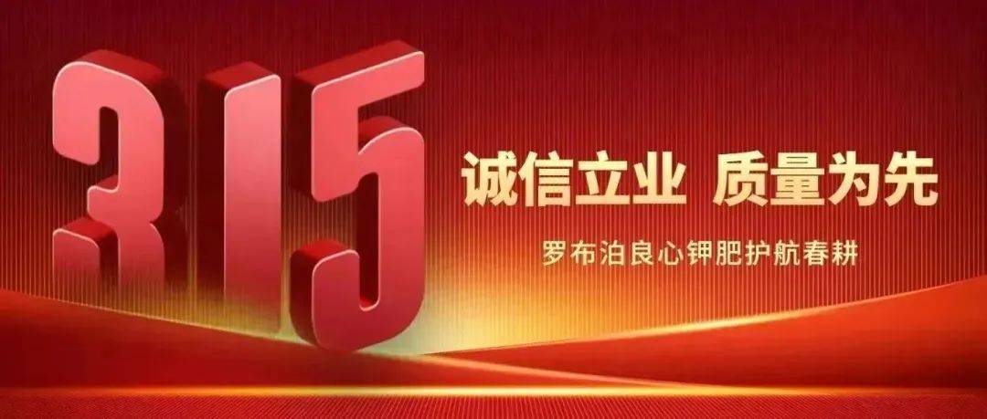 畅通反馈渠道，共建优质汽车消费环境