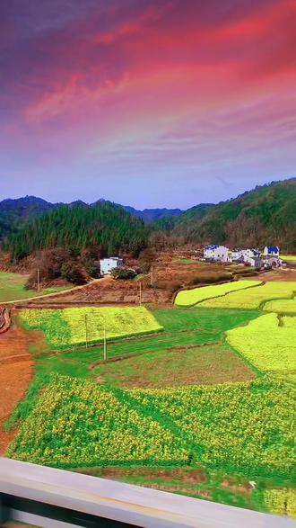 新华鲜报丨春已至！“植”绿山河