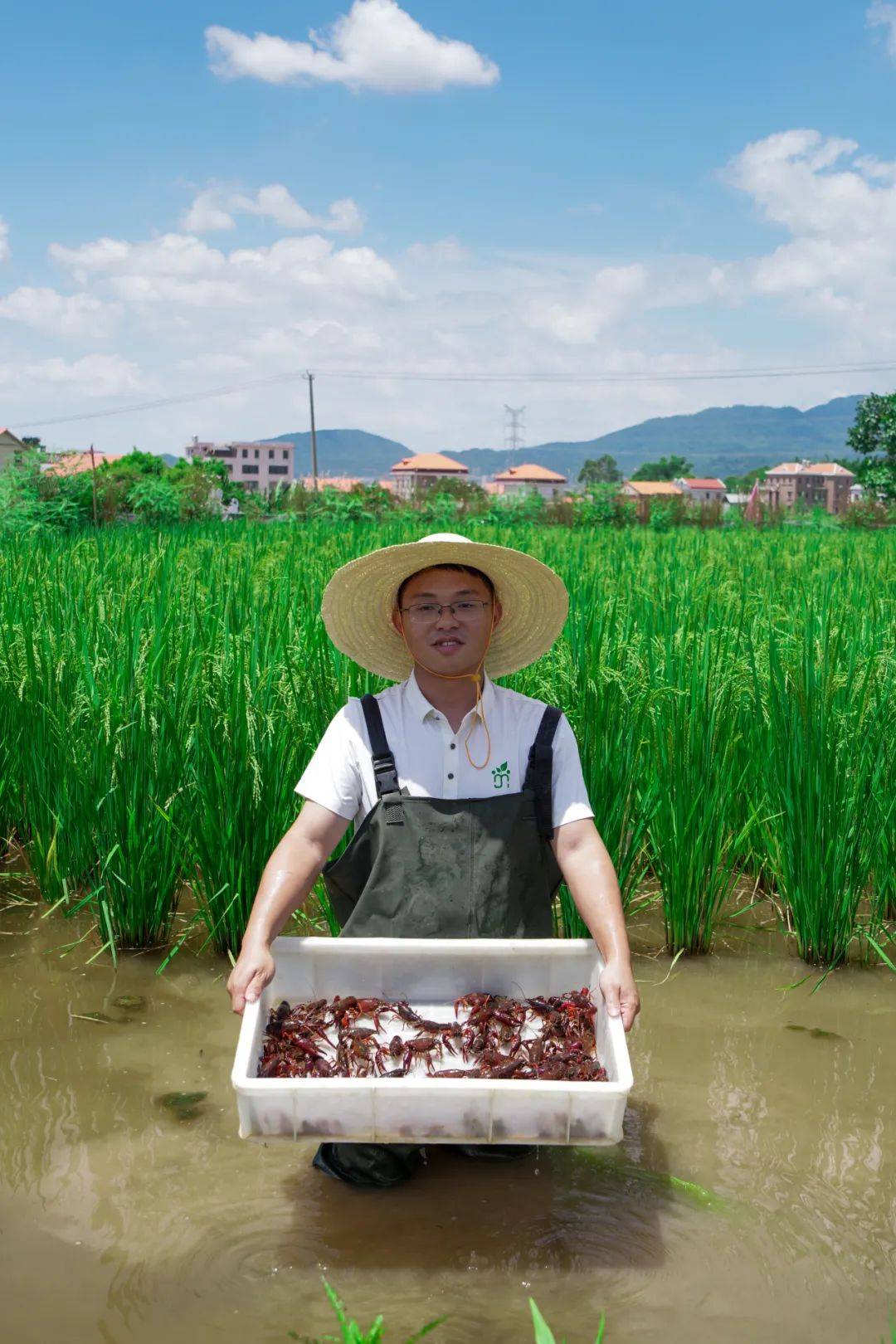 “养龙虾”爆火：智能体概念走向大众 科技巨头抢滩布局