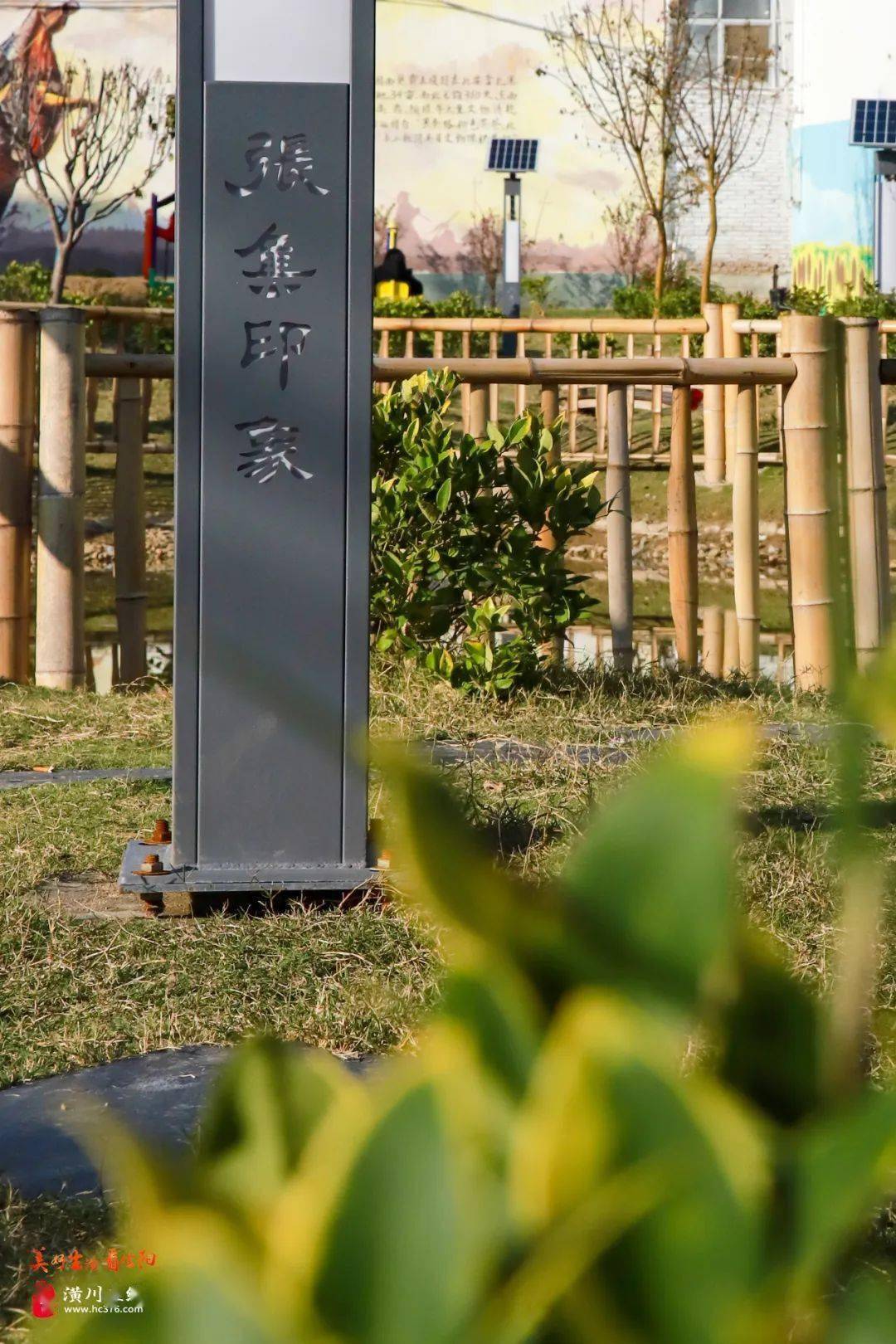 华英农业：股东光州辰悦一致行动人潢川发投所持公司股份被司法执行