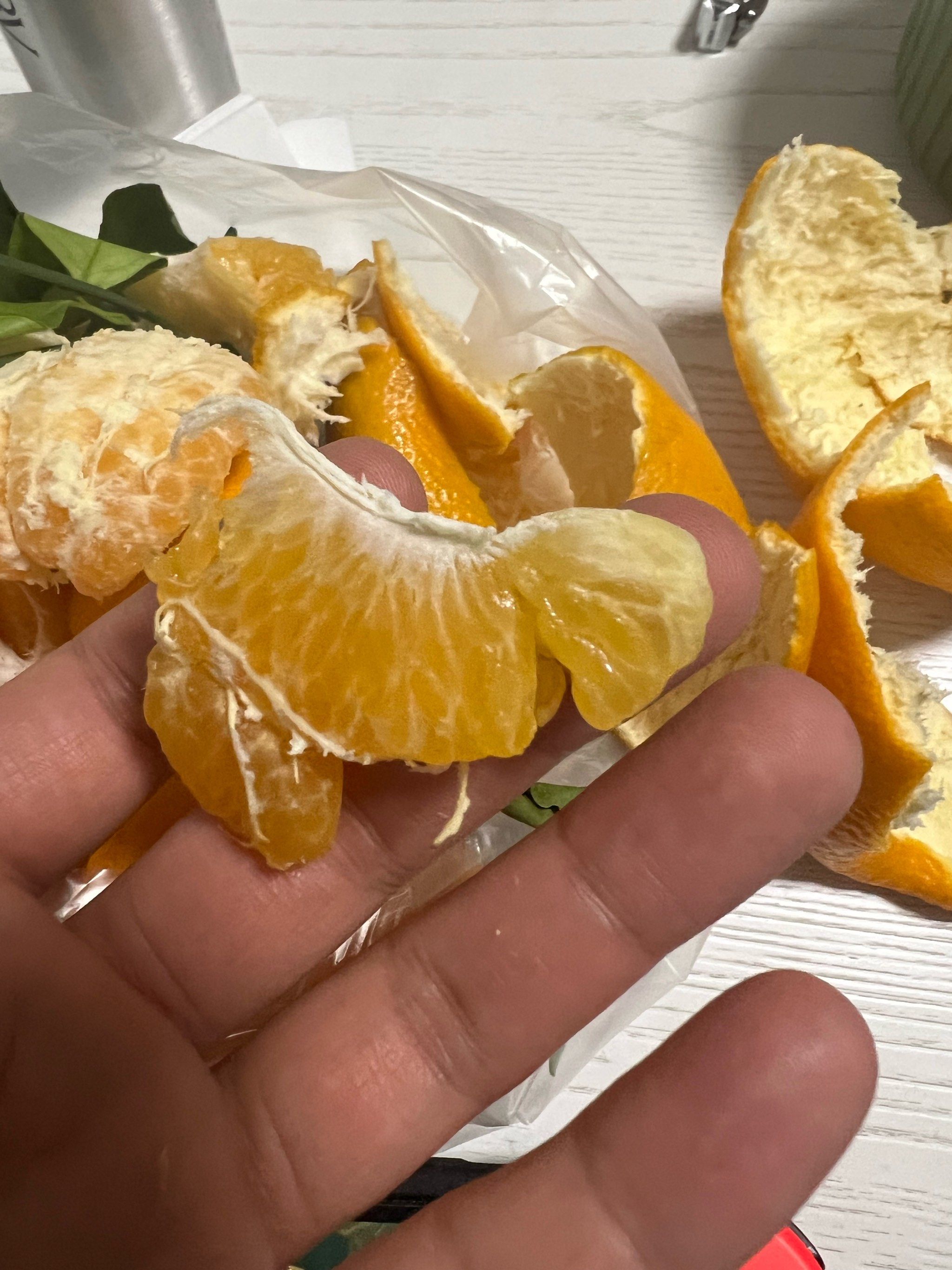 百果园BLOF技术赋能蒲江耙耙柑升级 乡村振兴发展新范式再添案例