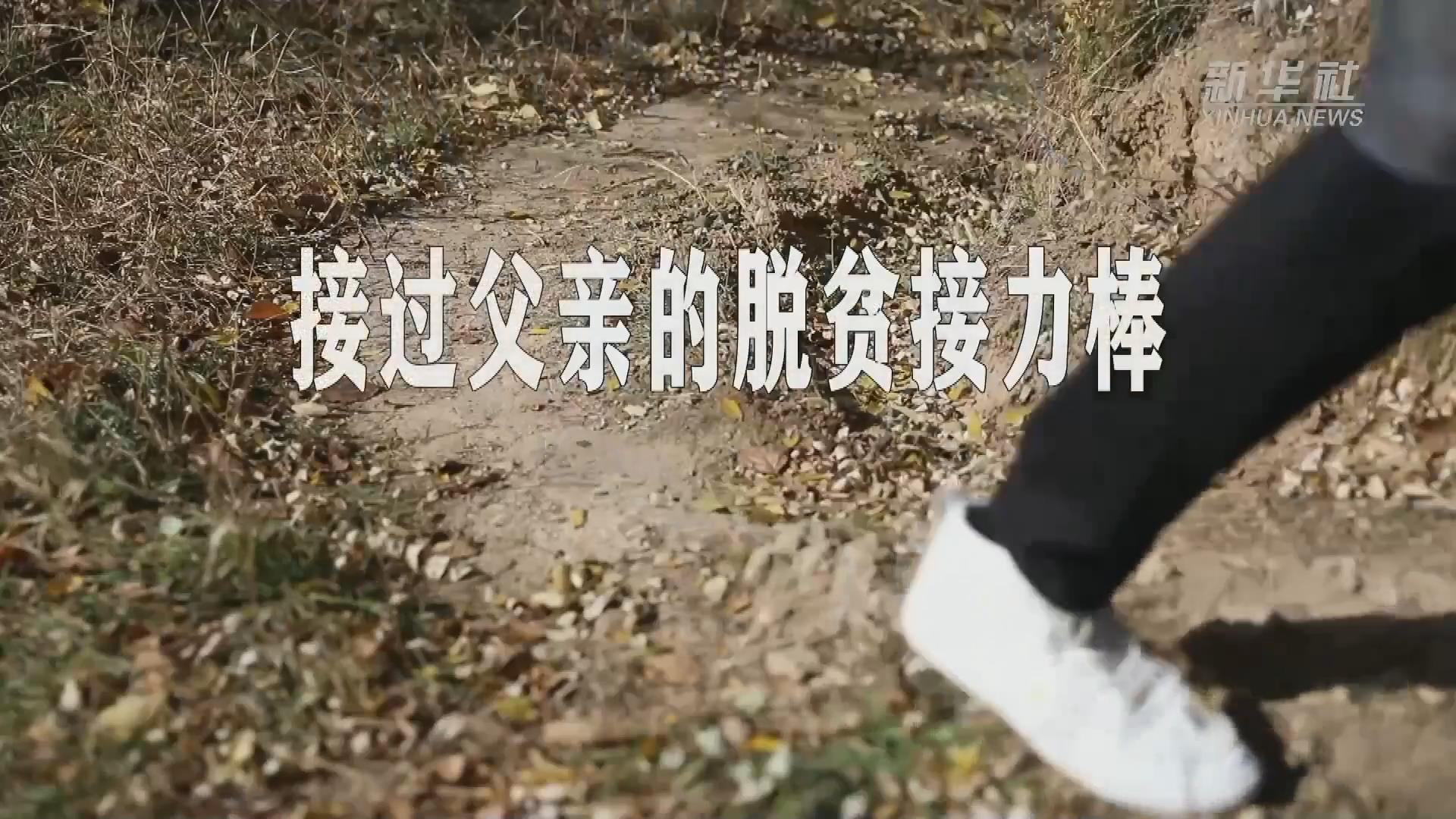 习近平总书记关切事｜以林为笔的生态答卷