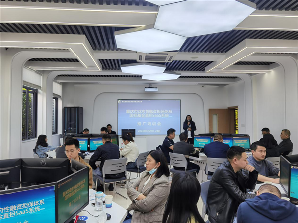 广东:构建全省统一政府性融资担保体系