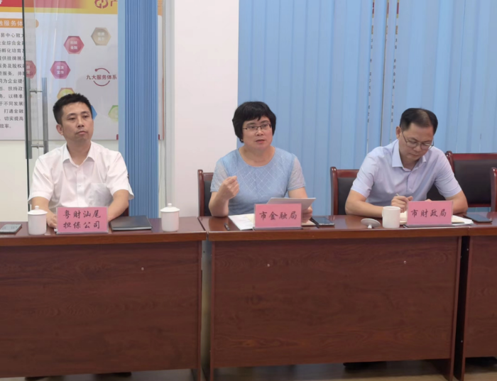 广东:构建全省统一政府性融资担保体系