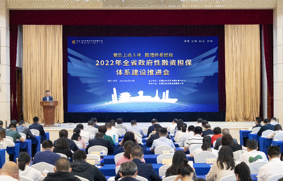 广东:构建全省统一政府性融资担保体系